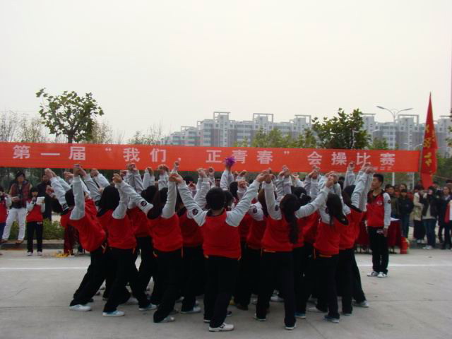 yl6809永利皇宫