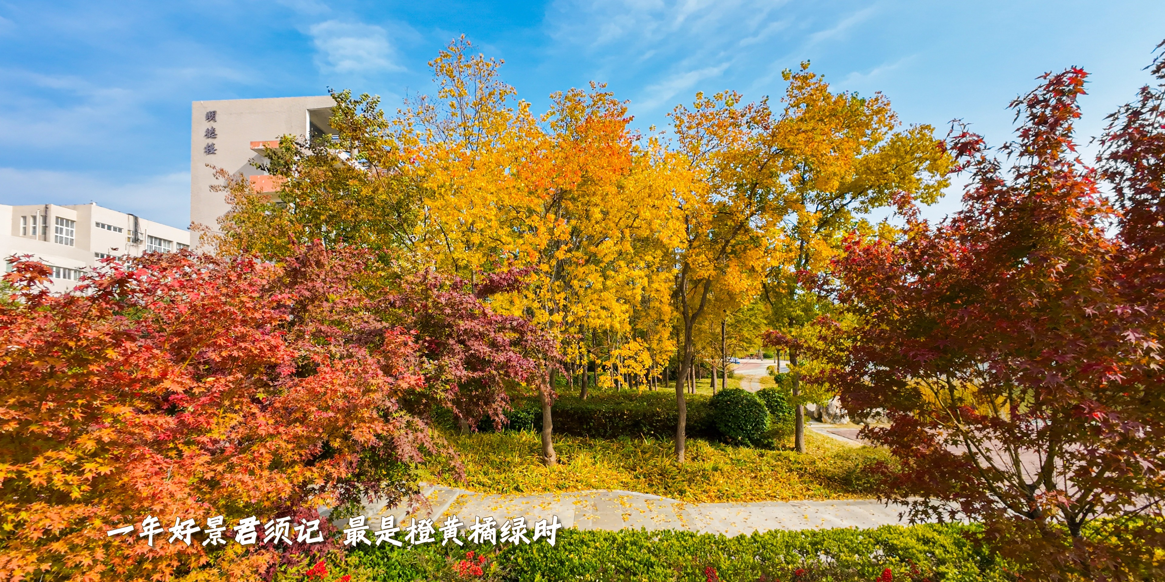 yl6809永利皇宫